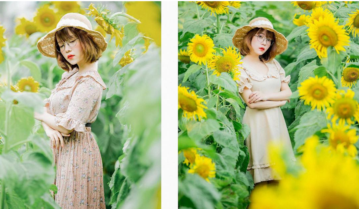 Thán Uy – Hot girl Gia Lai khoe sắc bên đồi hoa Mặt Trời đẹp như tranh vẽ