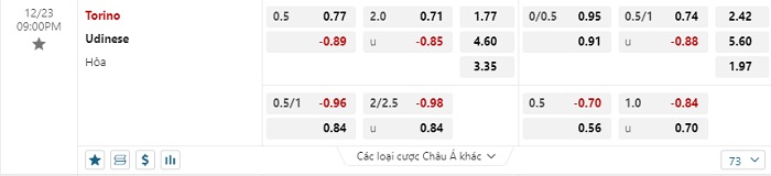 torino-vs-udine