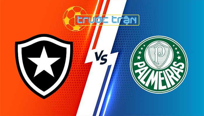 Botafogo vs Palmeiras – Soi kèo hôm nay 07h30 15/08/2024 – Copa Libertadores